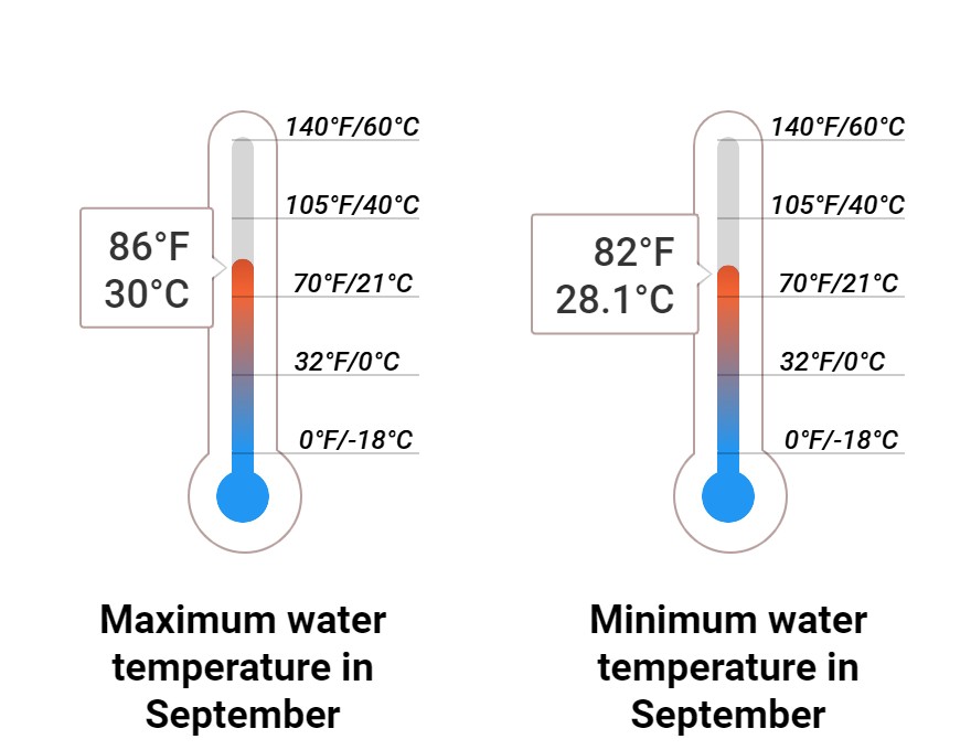 Average Sea temperature